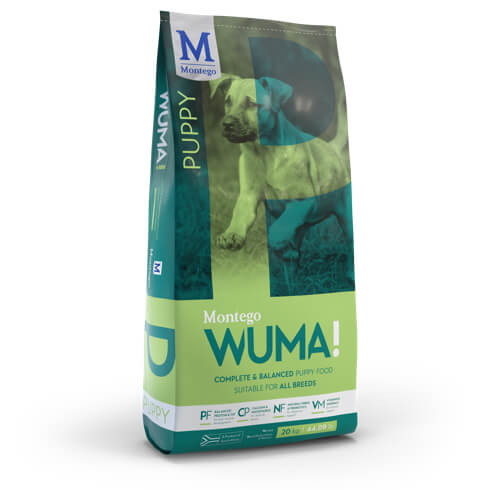 Montego Wuma Puppy - 8kg