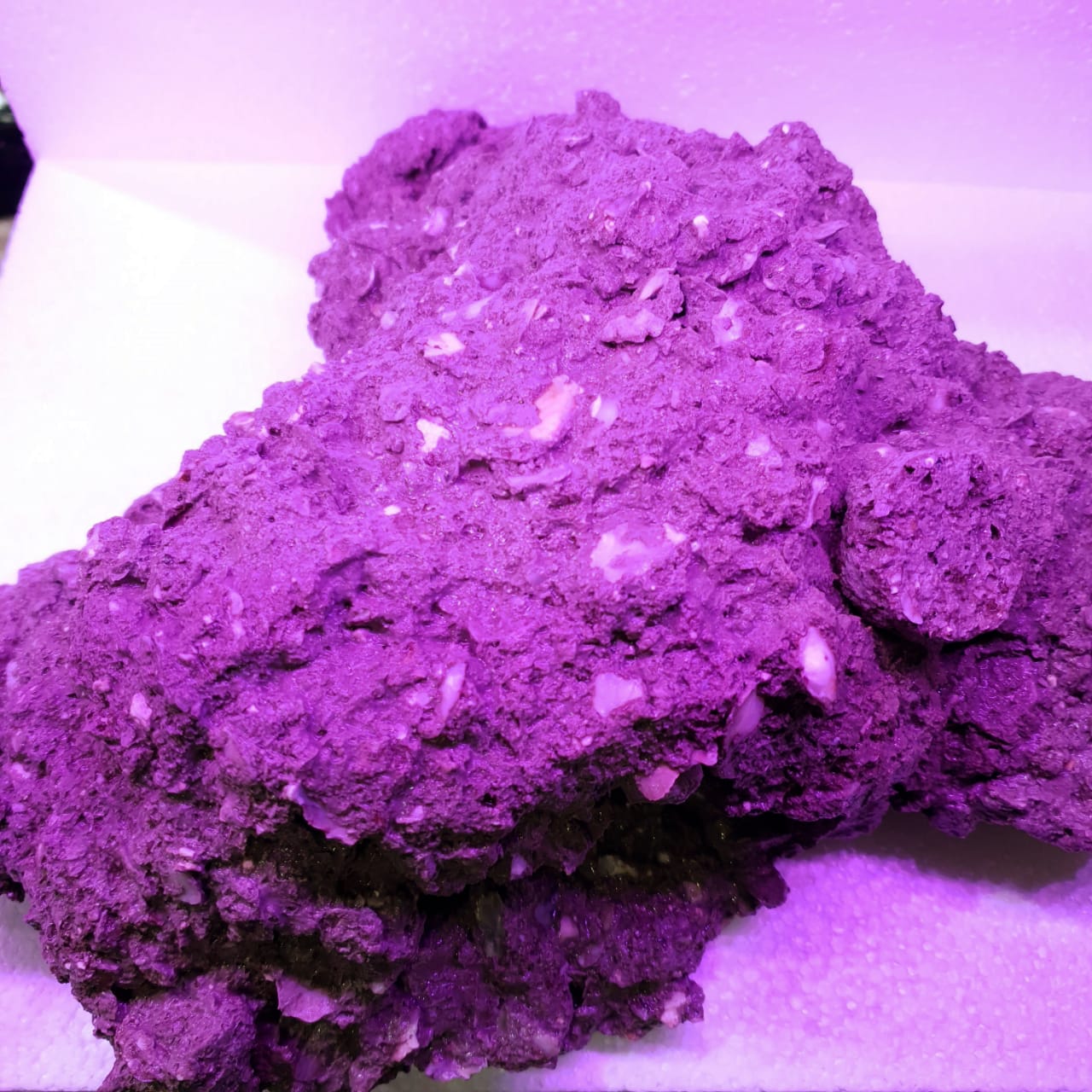 Delta Rock