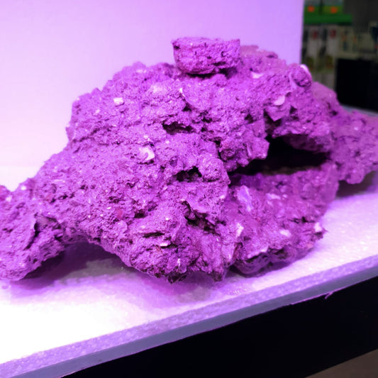 Delta Rock