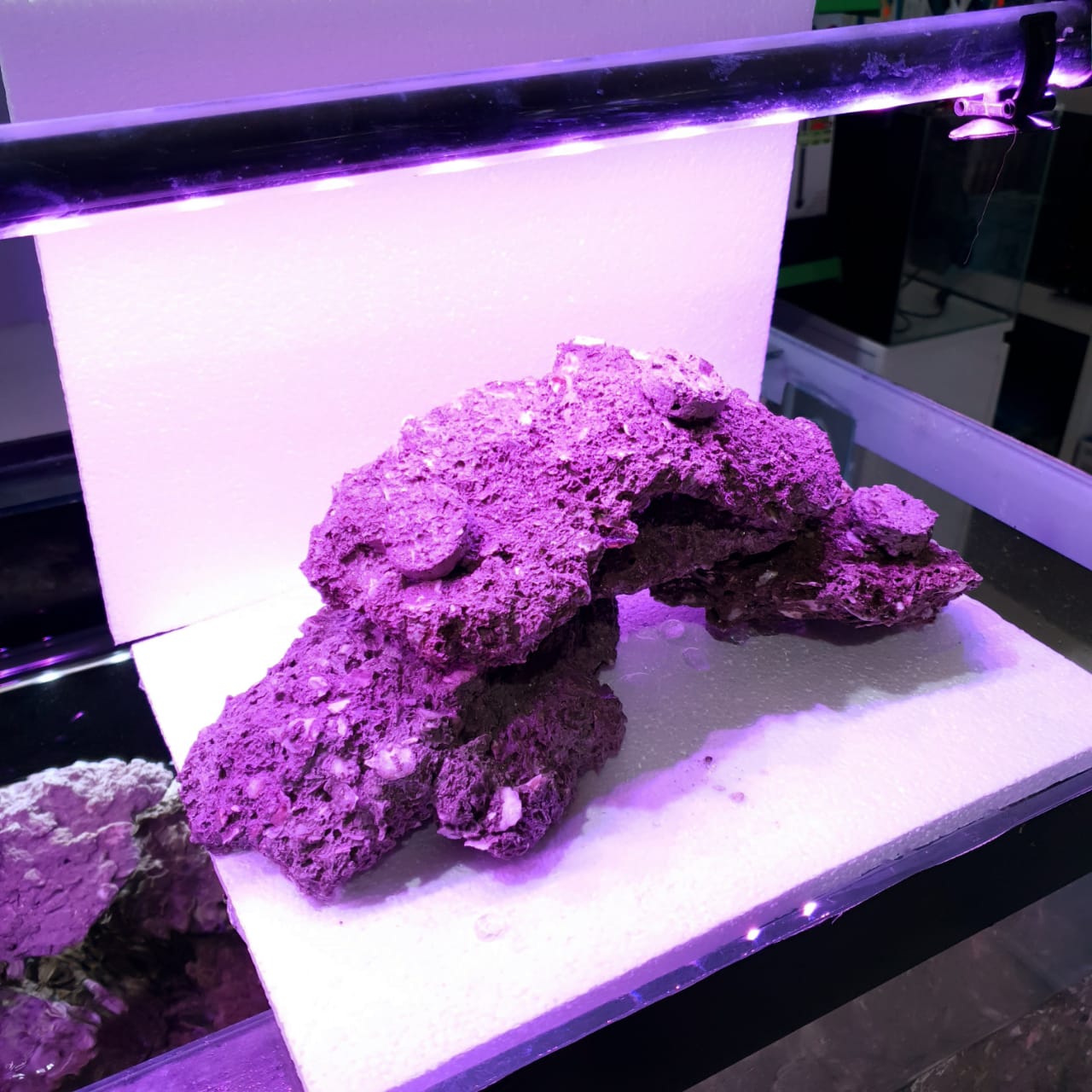 Delta Rock