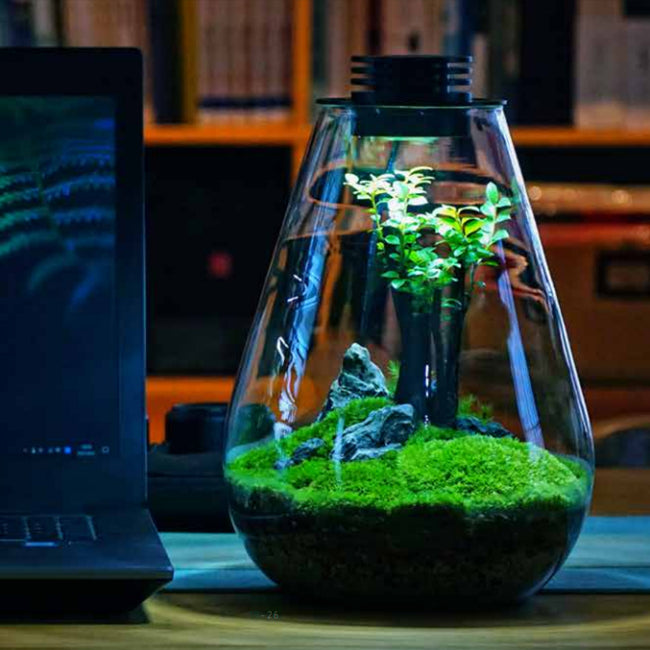 Bioloark Bio Bottle LED SD
