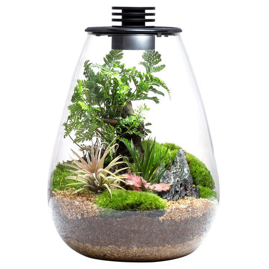 Bioloark Bio Bottle LED SD