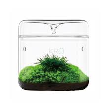Bioloark MY-150  Drip Jar Terrarium