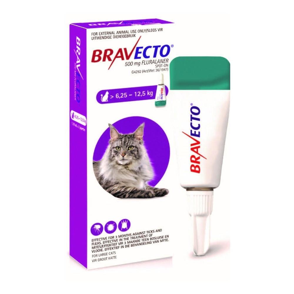 Bravecto Cat 6.25-12.5KG *3Month Treatment