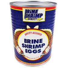 Brine Shrimp Eggs - 10g