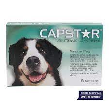 Capstar for big dogs ( Singles )