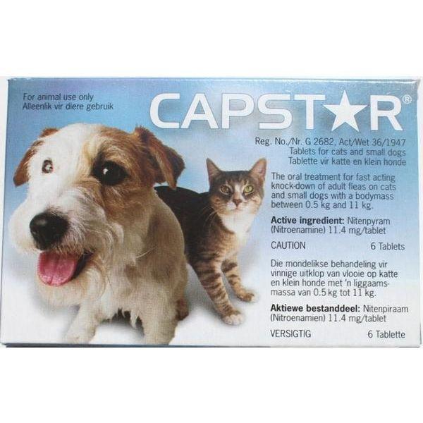 Capstar for Small Dogs & Cats (Singles)
