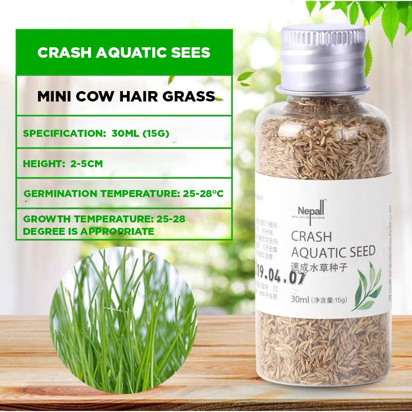 Crash Aquatic Planted Seeds