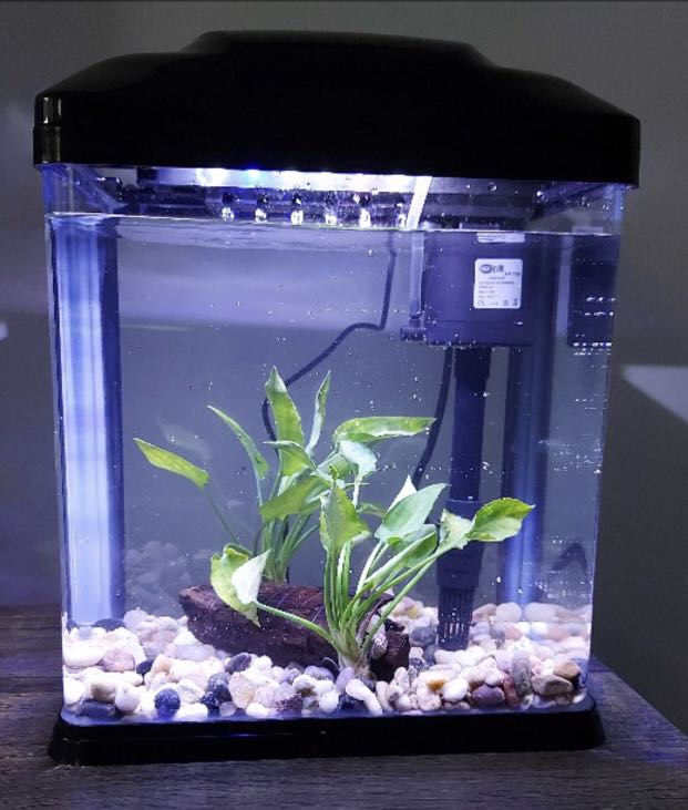 CEBO Tank