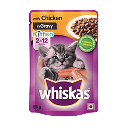 Whiskas Chicken In Gravy Kitten Pouch - 85g