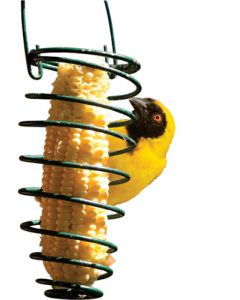 Elaine's Birding Corn-on-the-Cob Feeder