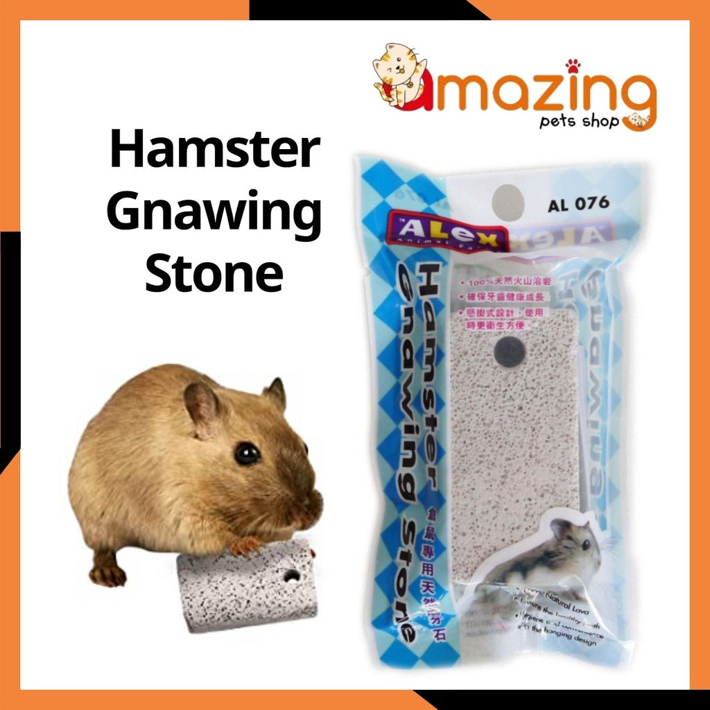EF Hamster Gnawing Stone