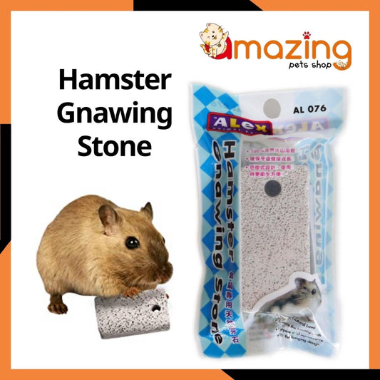 EF Hamster Gnawing Stone
