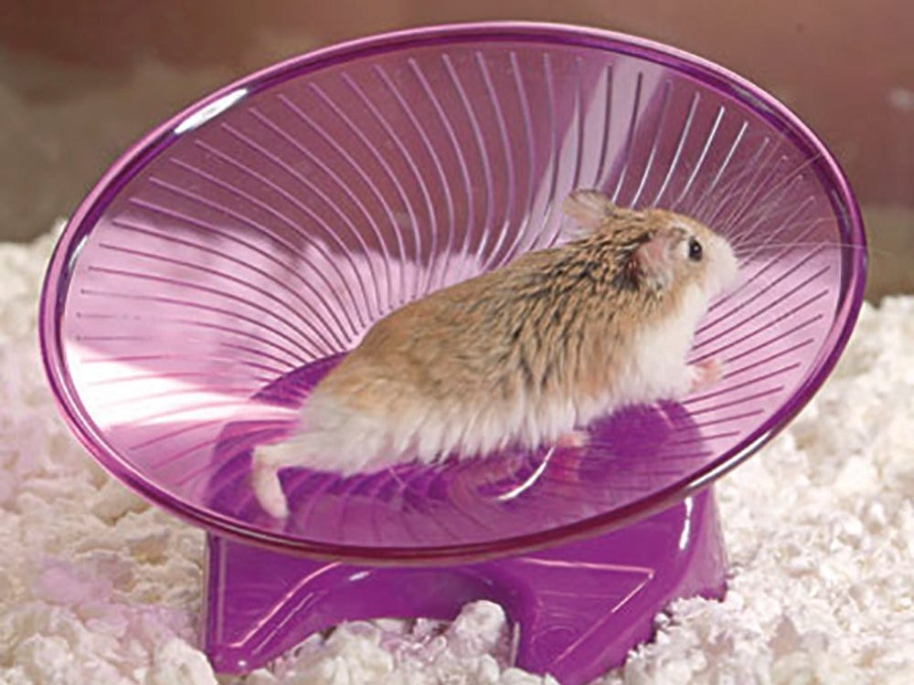 Daro Hamster Play Wheel Saucer - NV0103