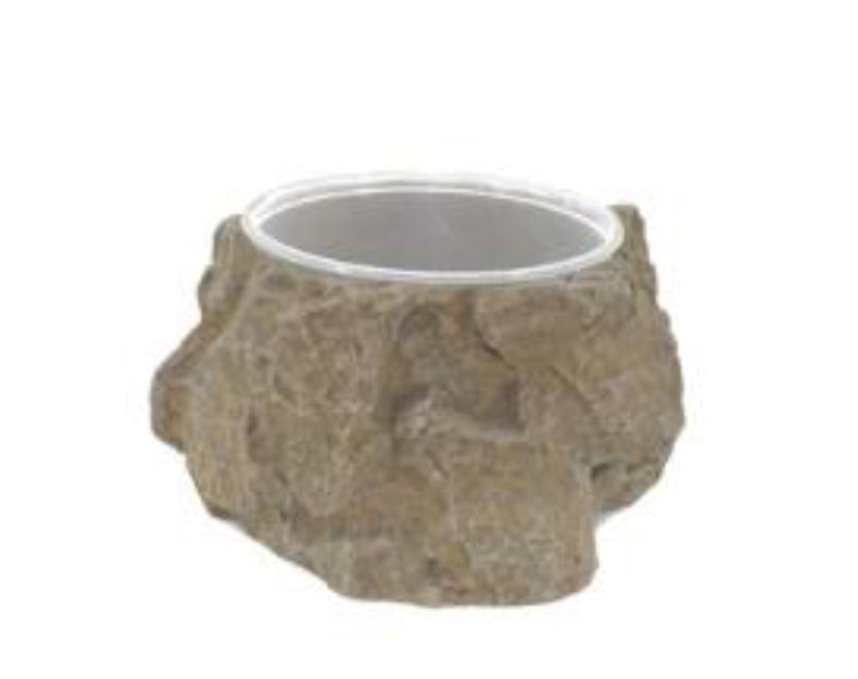 Naturalistic Bowl With Deli Cup - Medium
