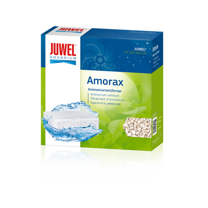 Juwel Amorax