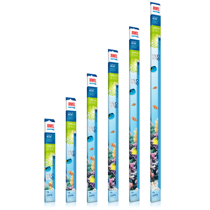 Juwel HiLite T5 Blue