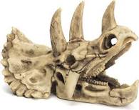 Triceratops Skull Ornament