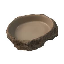 Water Dish