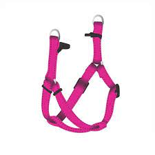 Daro Step In Harness Neon Pink