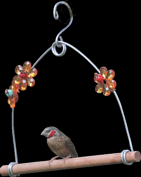 Elaine's Floral Bird Swing