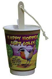 Elaine's happy hopper suet lolly