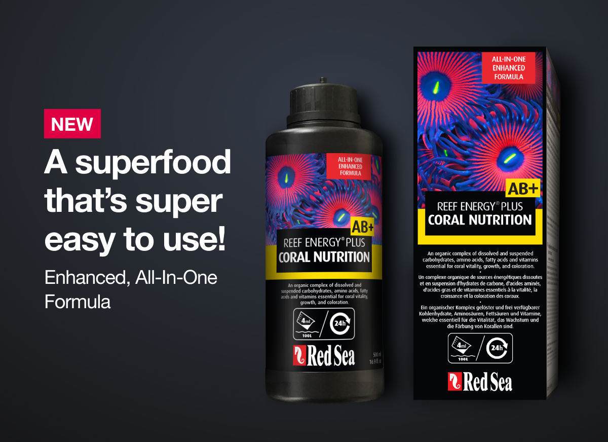 Red Sea Reef Energy AB Plus (AB+) All in One Coral Nutrition Superfood