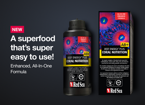 Red Sea Reef Energy AB Plus (AB+) All in One Coral Nutrition Superfood