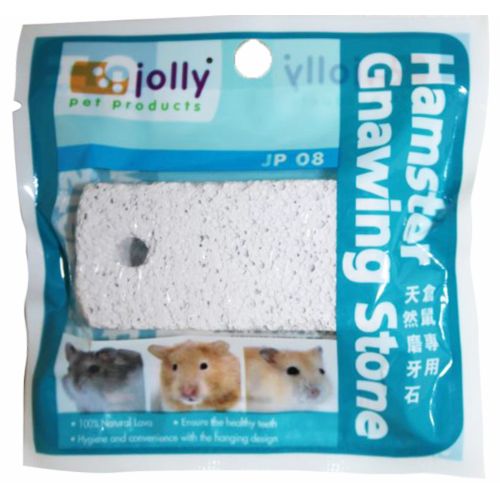 Jolly Hamster Gnawing Stone
