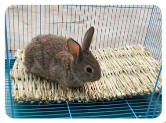Jolly Hay Mat