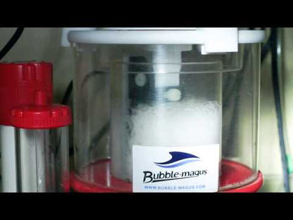 Bubble Magnus Protein Skimmer Head Cleaners