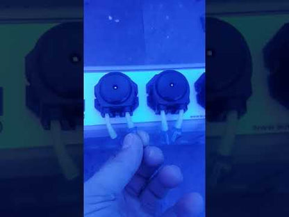 Bubble Magnus Dosage Pumps T11 And T12