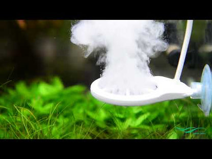 Nicrew Cihiris Doctor 3 In 1 Algae Remover
