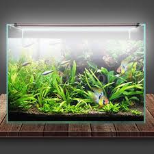 Zetlight Lancia-2 ZP4000 WIFI Freshwater