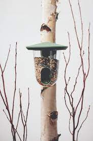 Singing Friend Bird Feeders / Hello Multi Feeder