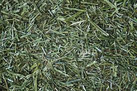 Equi-Feeds Assorted Feed