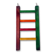Parrot Ladder - All Wood