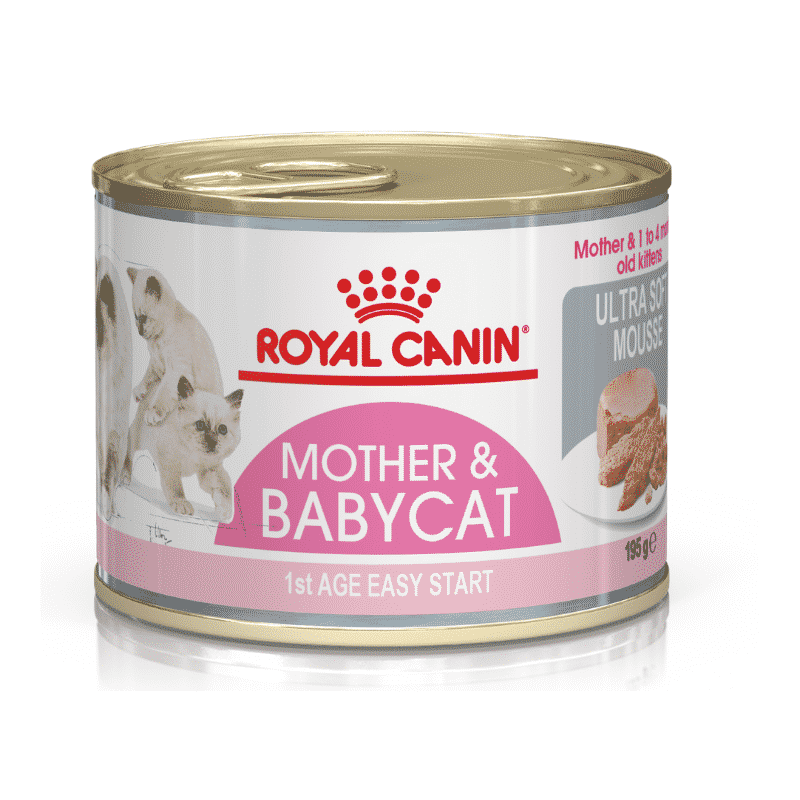 Royal Canin Mother & BabyCat (Kitten) Mousse - 195g