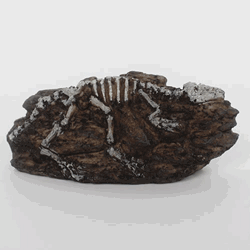 Resin Fossil