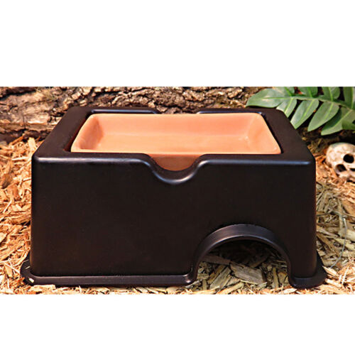 Hide Cave With Humidity Pot