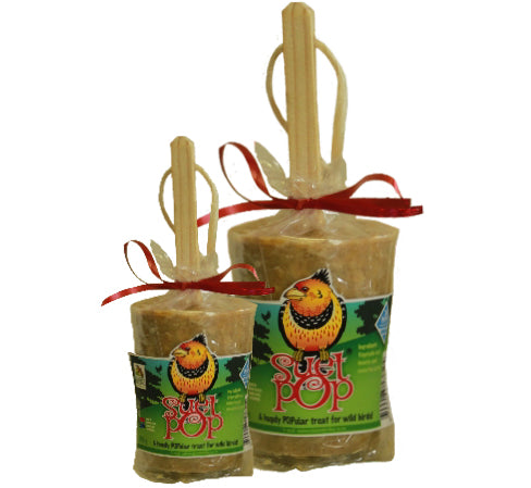 Elaine's Birding Suet Pops