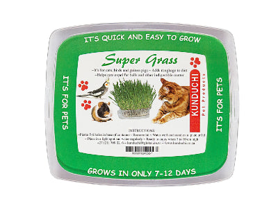 Kunduchi Super Grass