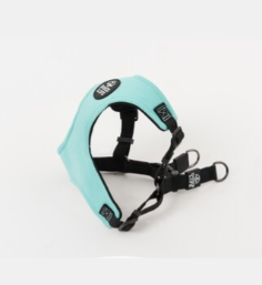 Dogs Life Neoprene Harness