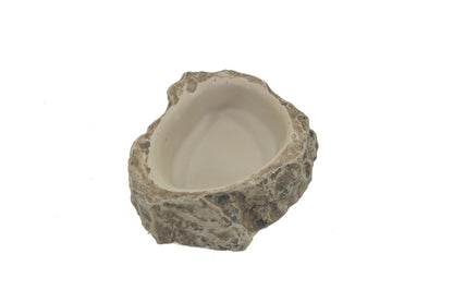 Water Dish